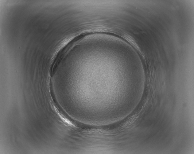 X0000058130389200509231124