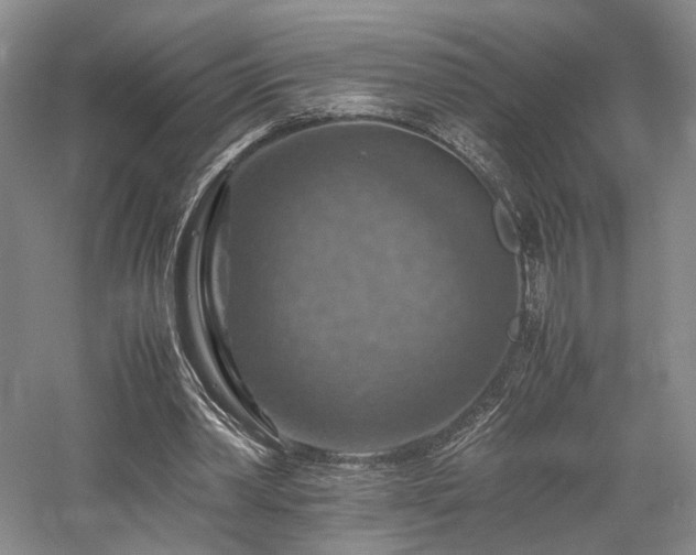 X0000058130390200509231124