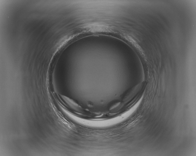 X0000058130391200509231124
