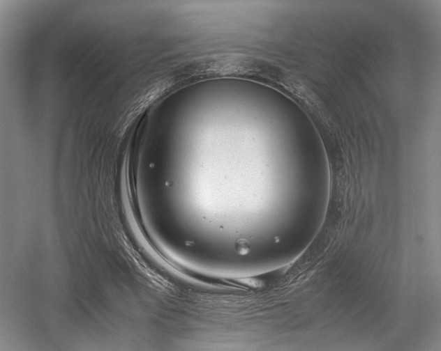 X0000058130393200509231124
