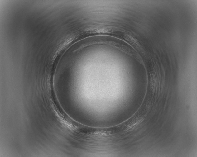 X0000058130394200509231124