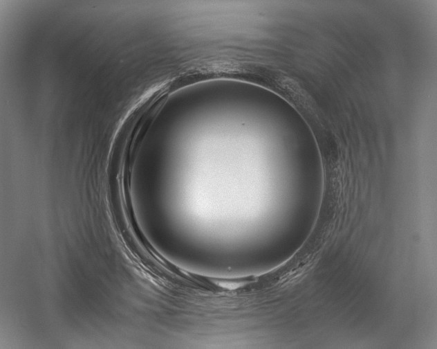 X0000058130395200509231124