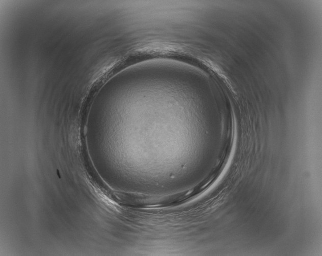 X0000058130399200509231124