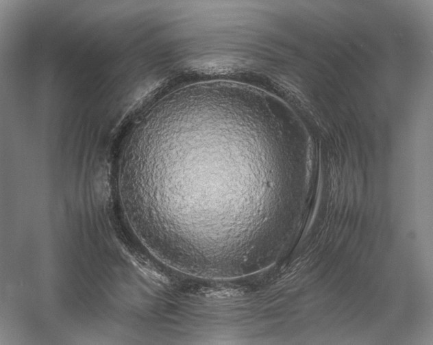 X0000058130400200509231124