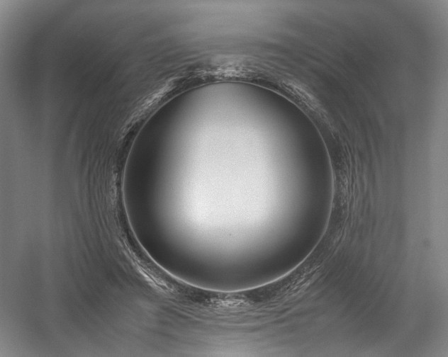 X0000058130401200509231124