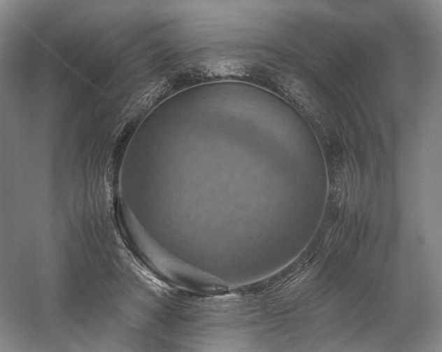 X0000058130402200509231124