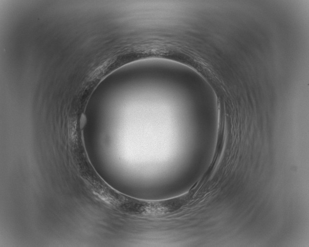 X0000058130403200509231124