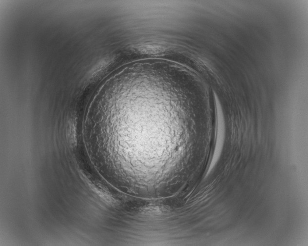 X0000058130404200509231124