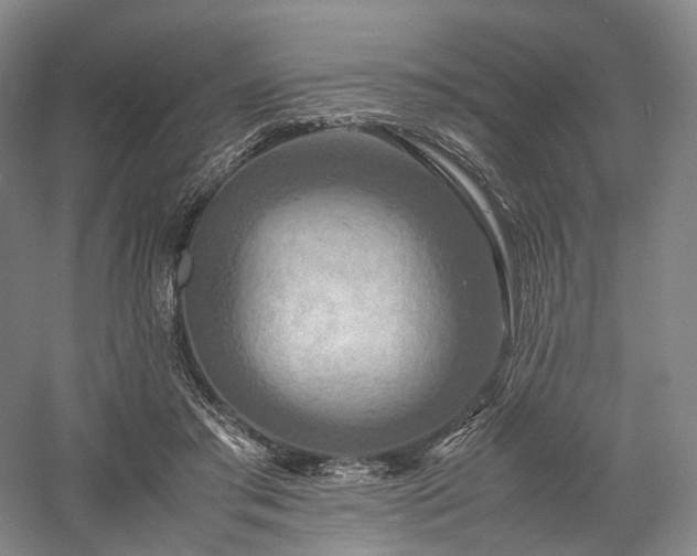 X0000058130405200509231124