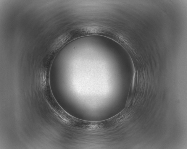 X0000058130406200509231124
