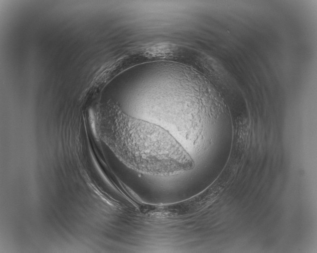 X0000058130408200509231124
