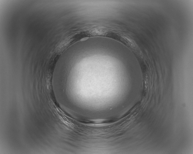 X0000058130409200509231124