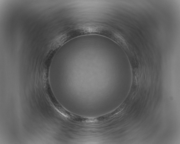 X0000058130410200509231124