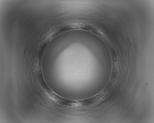 X0000058130411200509231124