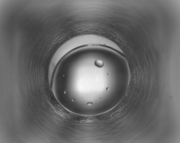 X0000058130412200509231124