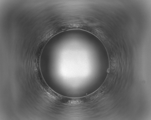 X0000058130414200509231124