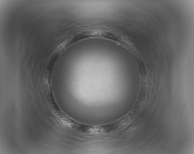X0000058130415200509231124