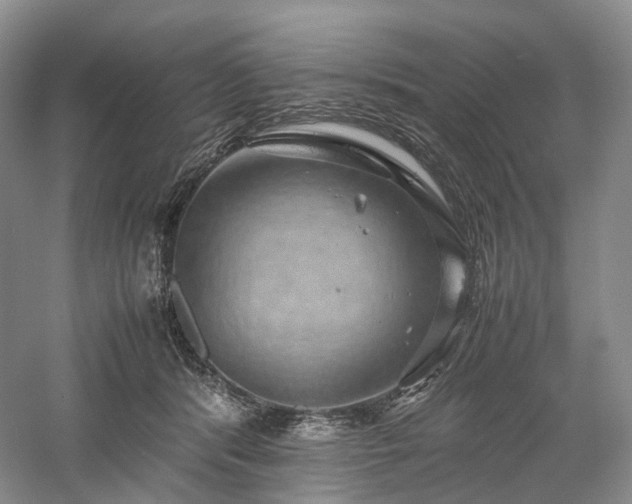 X0000058130416200509231124