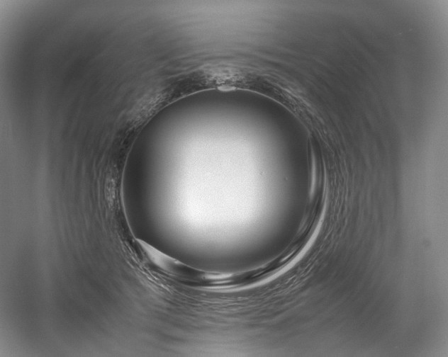 X0000058130417200509231124