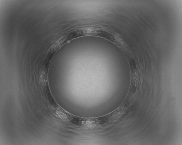 X0000058130419200509231124
