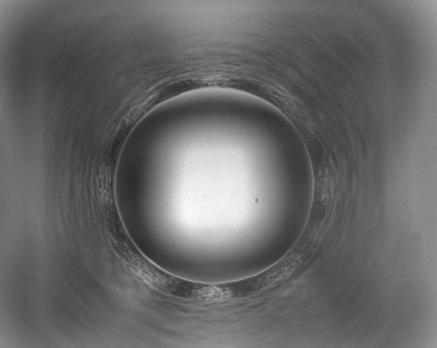 X0000058130421200509231124