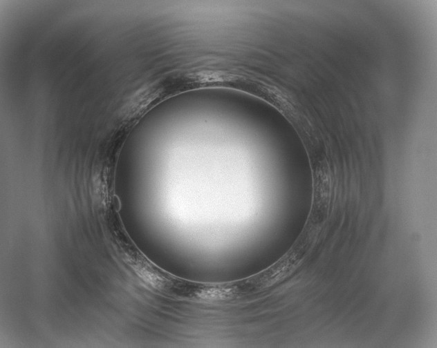 X0000058130422200509231124
