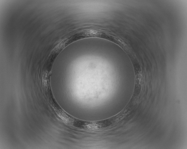 X0000058130423200509231124