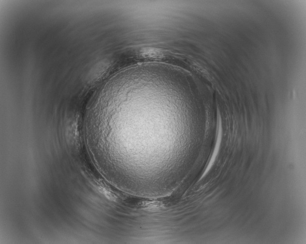 X0000058130424200509231124