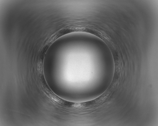 X0000058130425200509231124