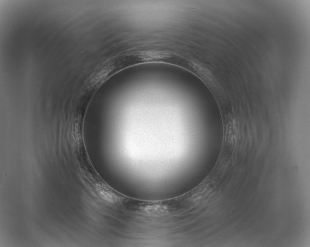 X0000058130426200509231123