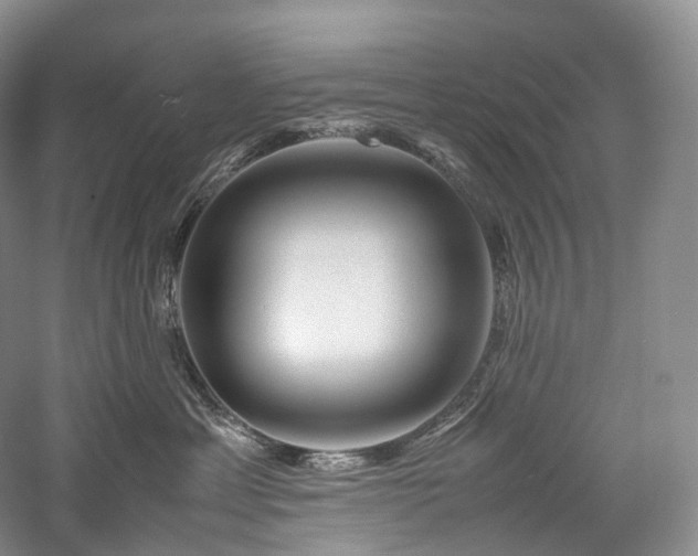 X0000058130429200509231123
