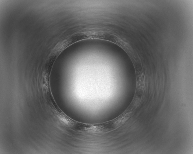 X0000058130430200509231123
