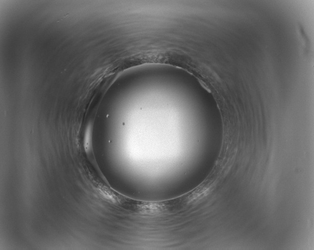 X0000058130432200509231123