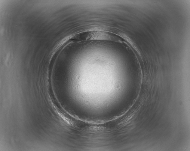 X0000058130437200509231123