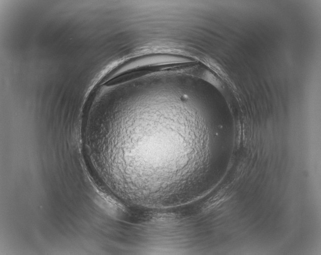 X0000058130438200509231123