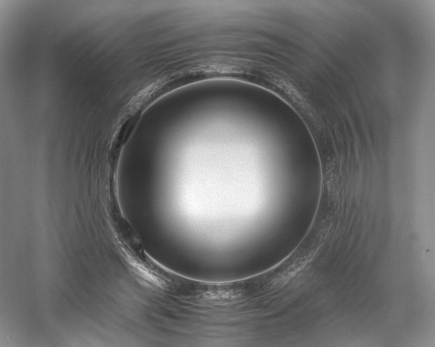 X0000058130445200509231123