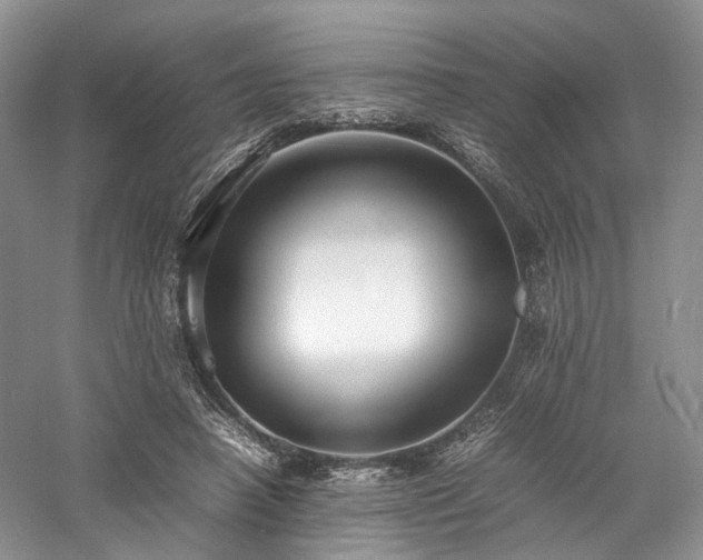 X0000058130450200509231123