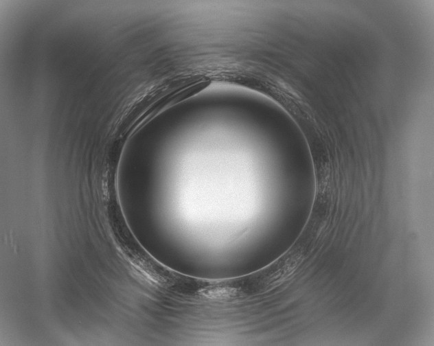 X0000058130452200509231123