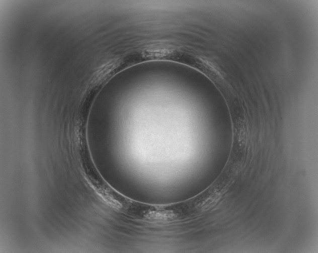 X0000058130455200509231123