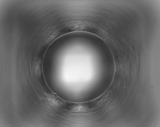 X0000058130460200509231123