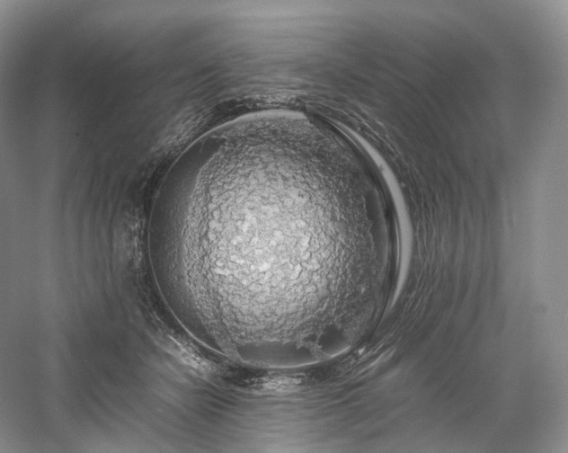 X0000058130462200509231123