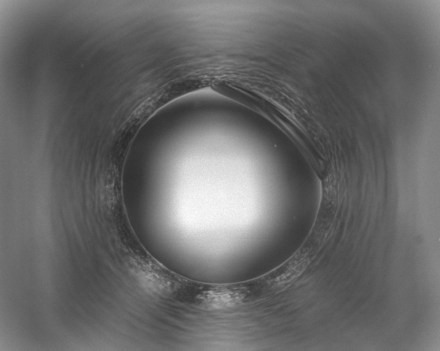 X0000058130464200509231123