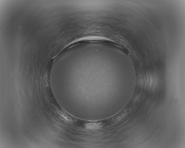 X0000058130465200509231123