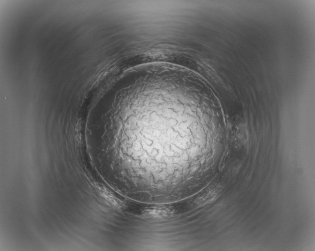 X0000058130466200509231123