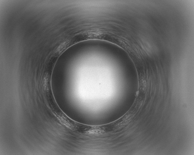 X0000058130468200509231123