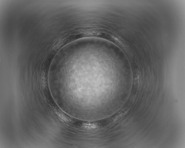X0000058130469200509231123