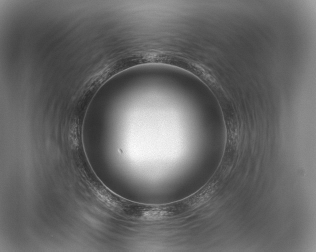 X0000058130470200509231123