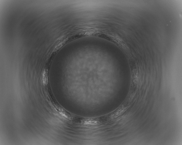 X0000058130471200509231123