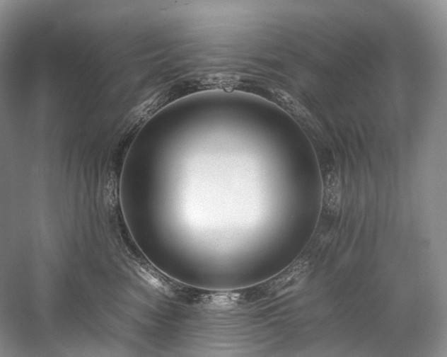 X0000058130474200509231123