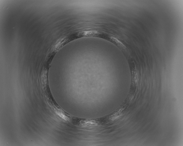 X0000058130475200509231123